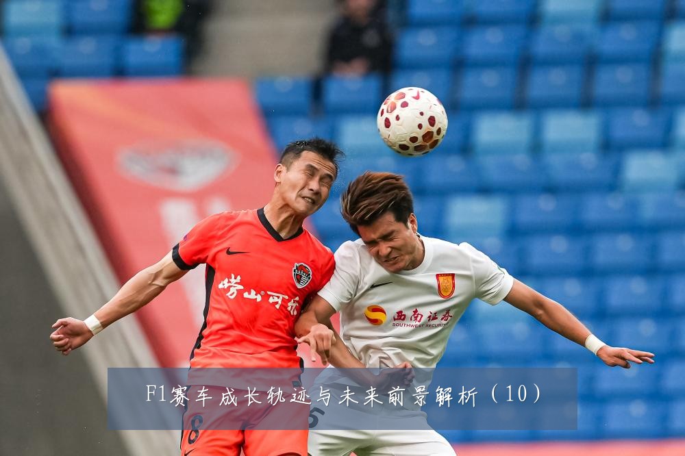 F1赛车成长轨迹与未来前景解析(10)